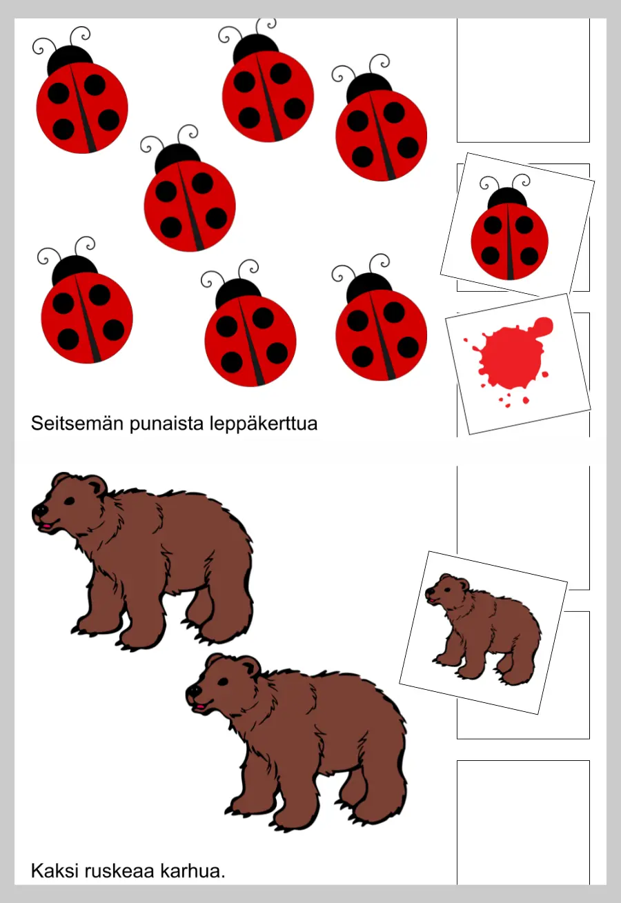 Mitä, kuinka monta, minkä värisiä?